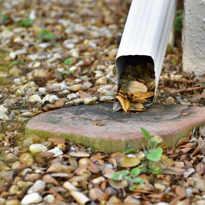 How To Prevent Water Pooling in Your Yard Steel City Waterstoppers